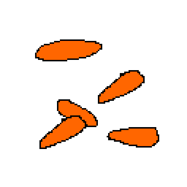 baby carrot