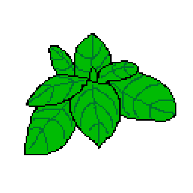 basil