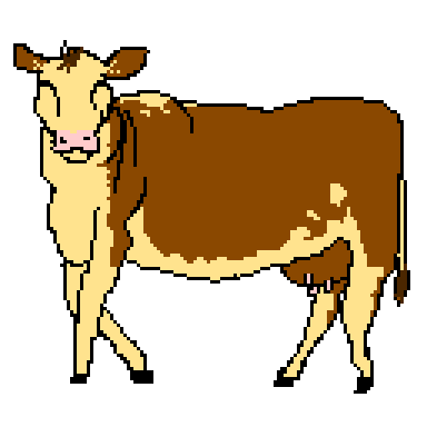 beef