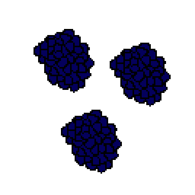 blackberry