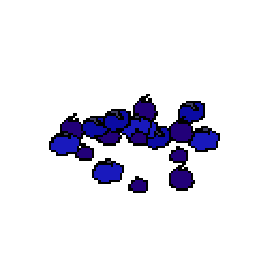 blueberry