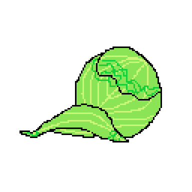 cabbage