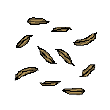 caraway