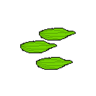 cardamom