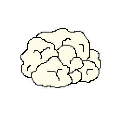 cauliflower