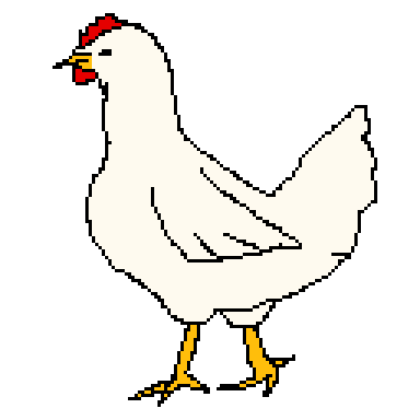 chicken