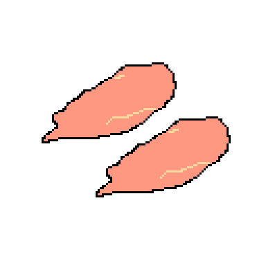 chicken breast