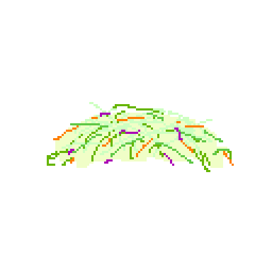 coleslaw