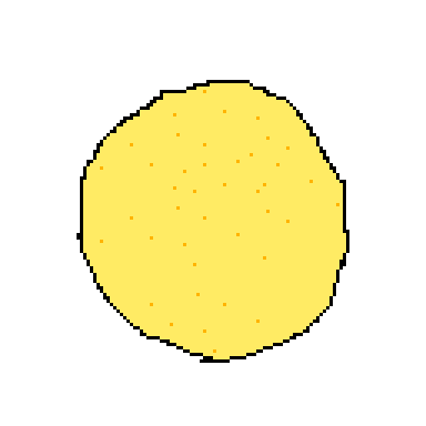 corn tortilla