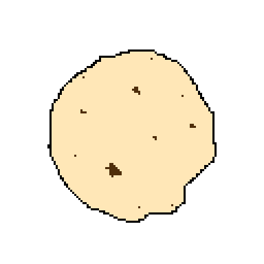 flour tortilla