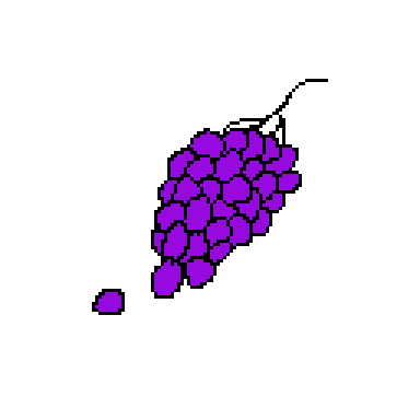 grapes