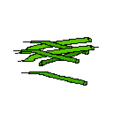 green bean