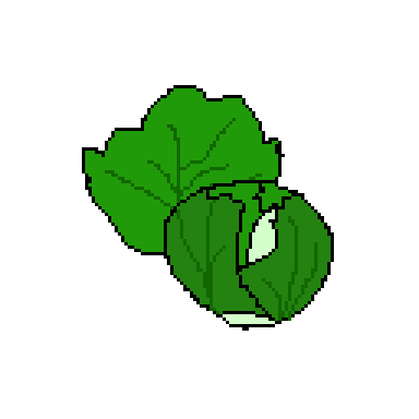 lettuce