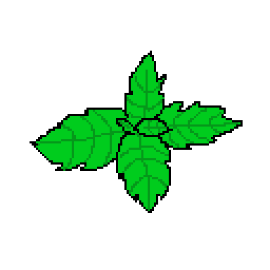 peppermint