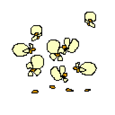 popcorn
