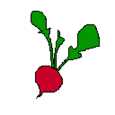 radish