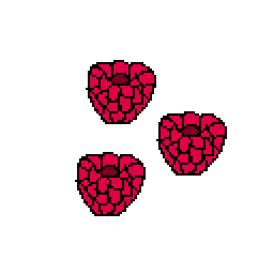 raspberry