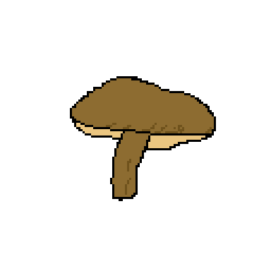 shiitake mushroom