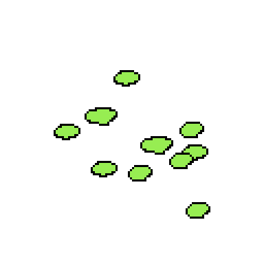 soybean