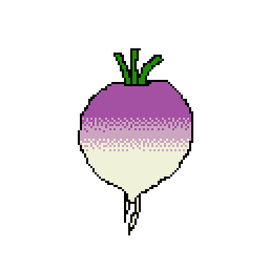 turnip