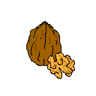 walnut
