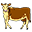 beef