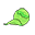 cabbage