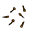cloves