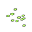 soybean